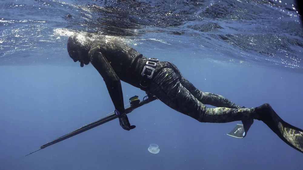 U.S. Tourist Severely Injured in Shark Attack While Spearfishing in the Bahamas