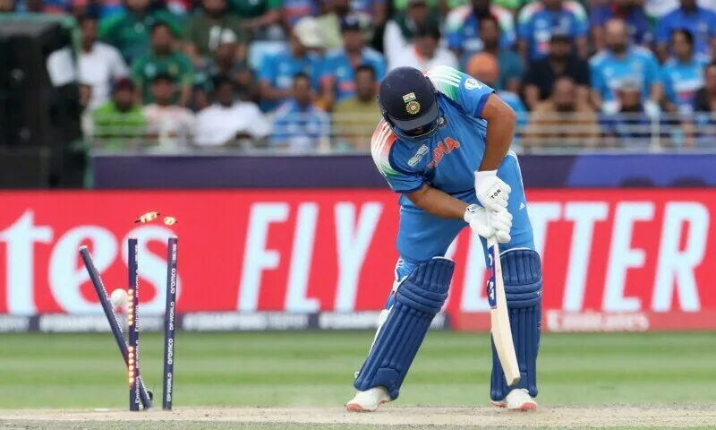 Venues Announced for LA 2028 Olympics Featuring Baseball at Dodgers and Triathlon at Venice Beach