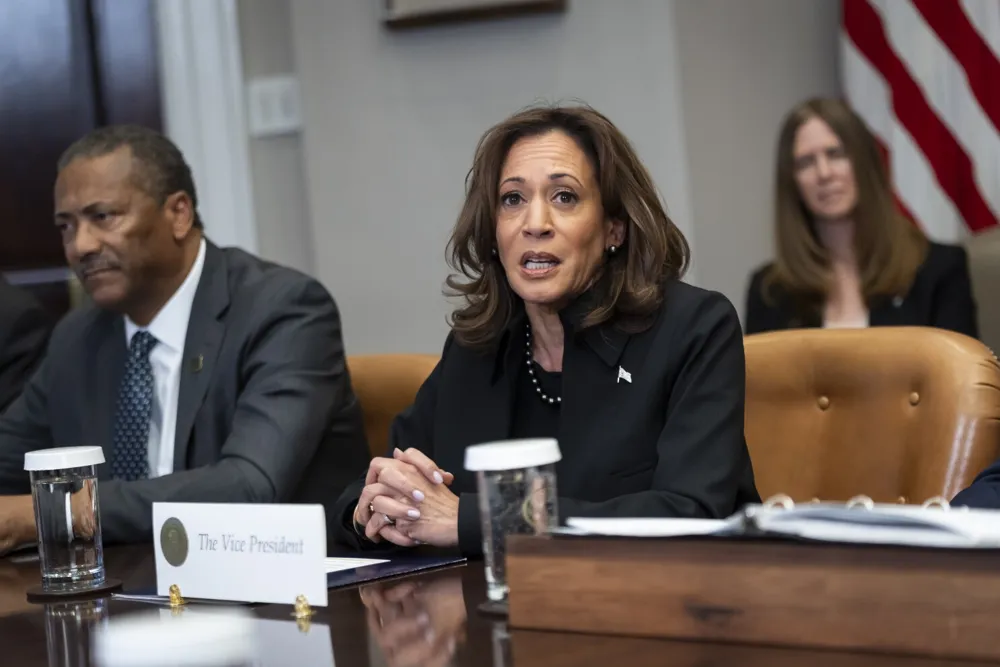 Vice President Harris cancels foreign trip due to California wildfires