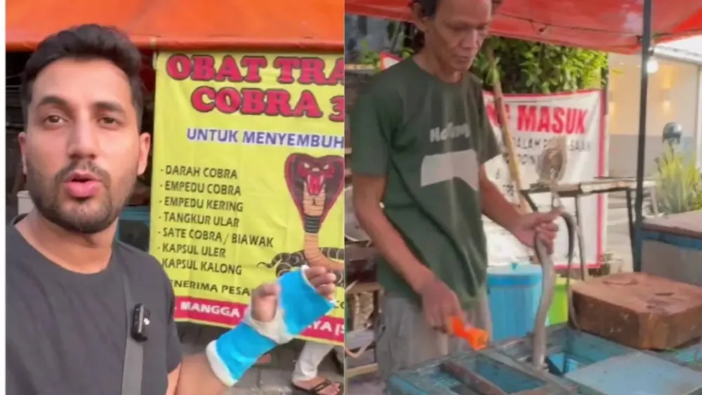 Viral Indonesian Stall Features Cobra Meat Dishes, Sparking Global Debate