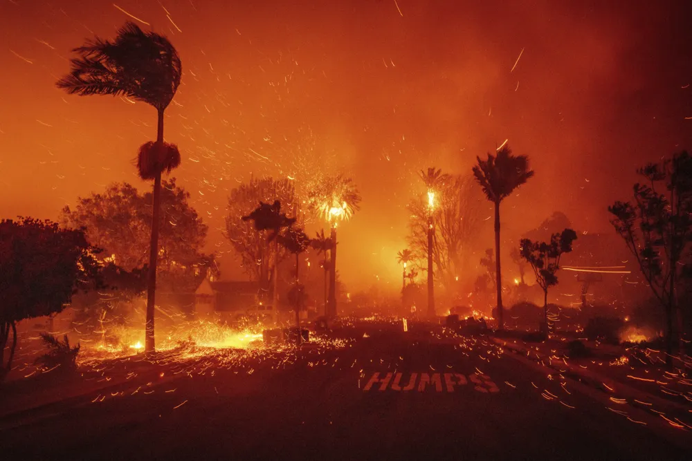 Ways to Support Victims of Los Angeles Wildfires