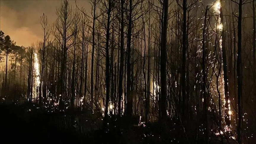 Wildfires Near Jerusalem Prompt Evacuations and International Calls for Assistance