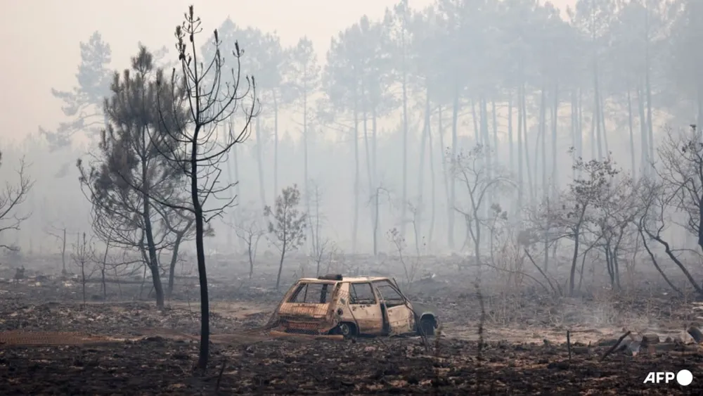 Wildfires Rage Across Southern Europe, Leading to Evacuations and Tragic Losses