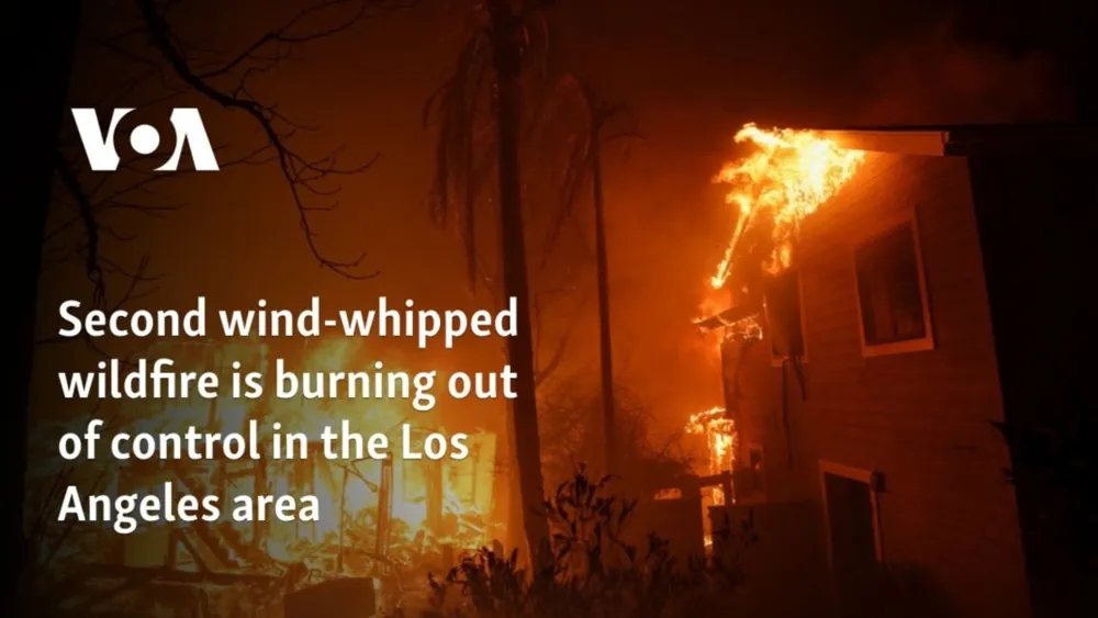 Wildfires Rage in Los Angeles Area Amid High Winds and Evacuations