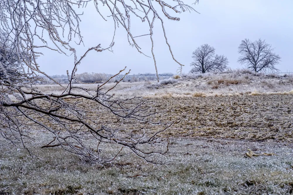 Winter Weather Impacts U.S. Farmers: Challenges and Planning Amidst Climate Change