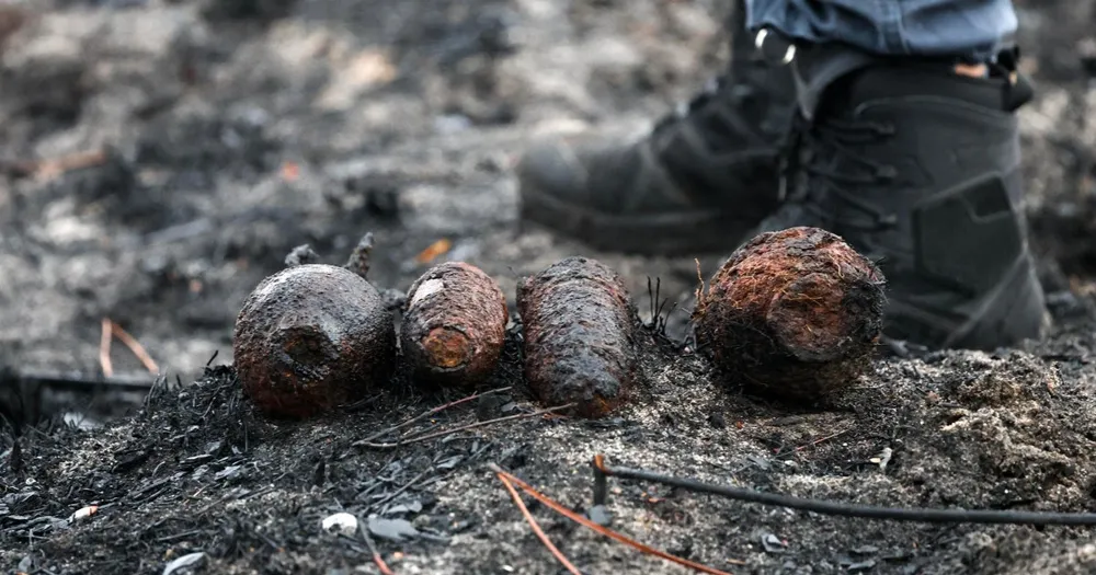 World War II munitions discovered during wildfire recovery efforts in France