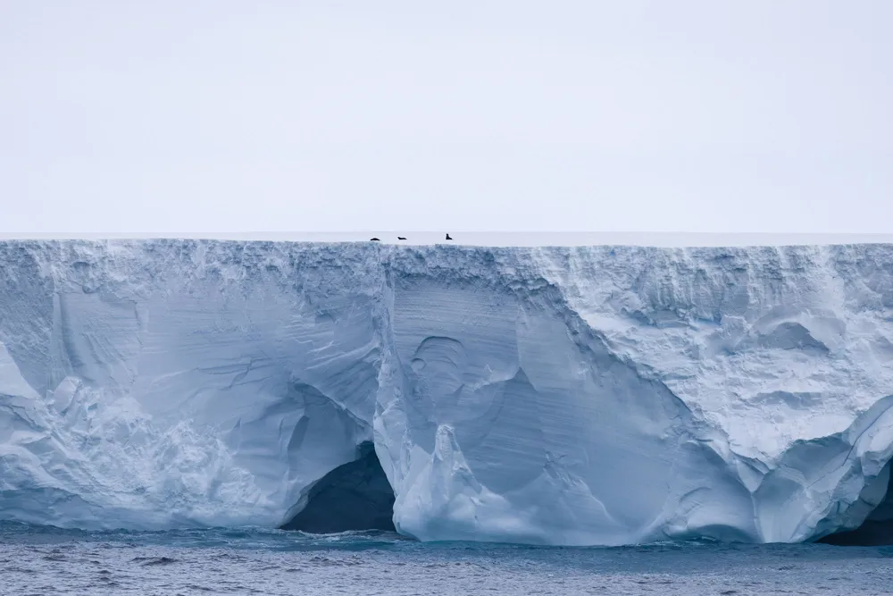 World’s Largest Iceberg A23a Drifting Toward South Georgia, Threatens Penguin Populations