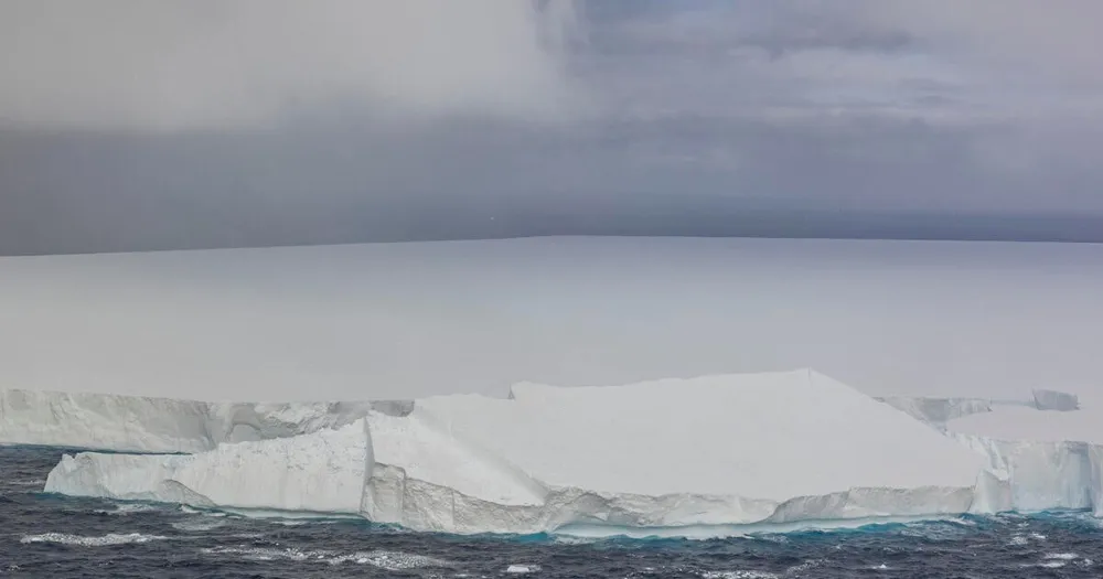 World’s Largest Iceberg A23a Runs Aground Near South Georgia Island