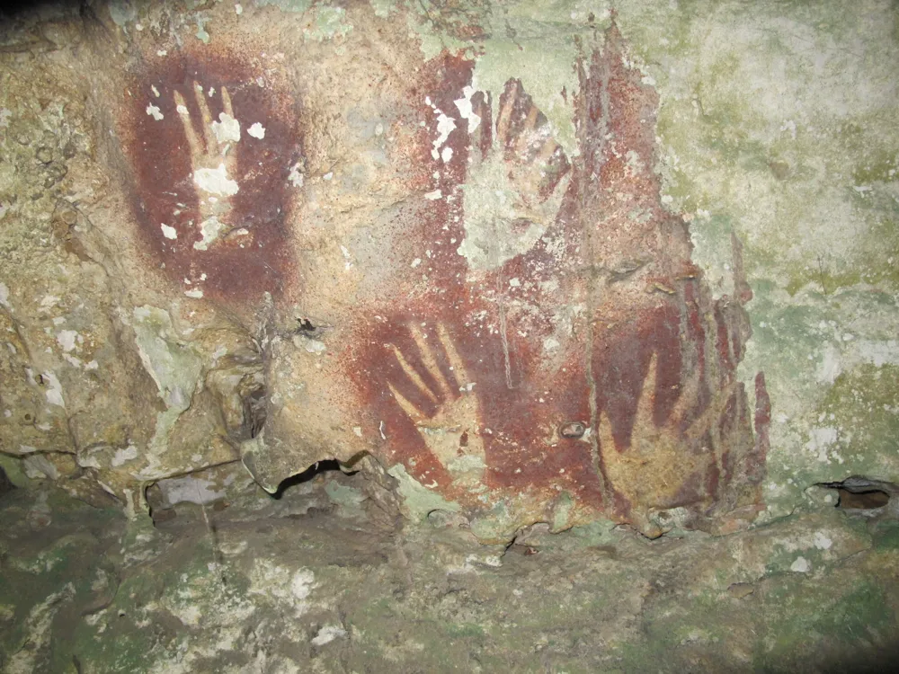 Oldest rock art discovered in Indonesia with a 67,800-year history