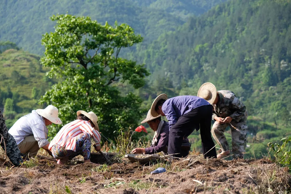 Zhejiang Province Commits to Common Prosperity by 2035