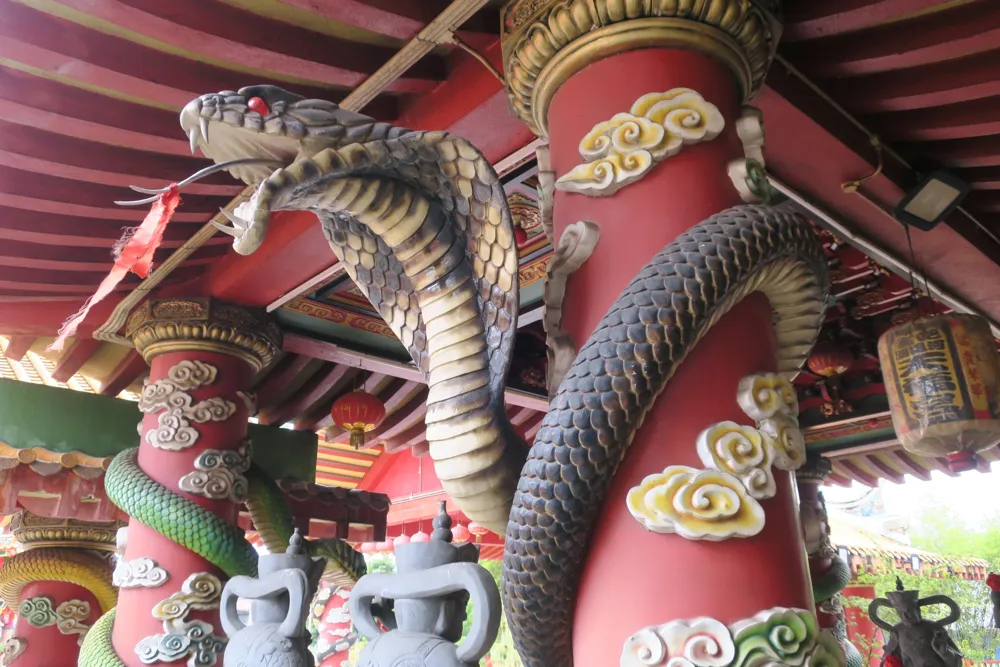 Zodiac Predictions for the Year of the Wood Snake: Navigating Challenges for Snakes and Monkeys